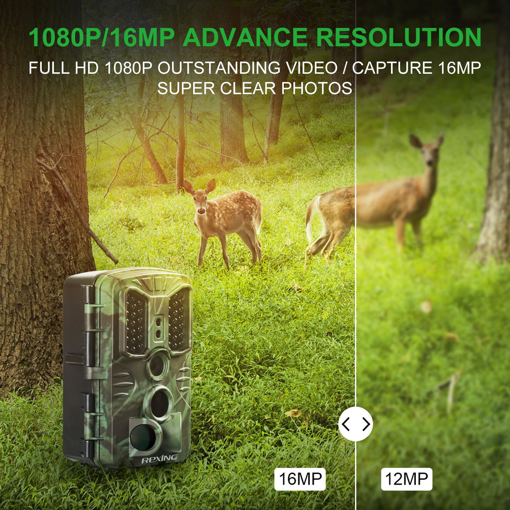 Rexing H1 Blackhawk Night Vision Trail Camera — Full HD 1080p