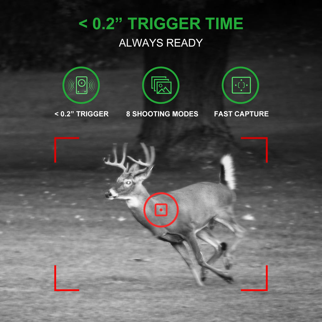 Rexing H1 Blackhawk Night Vision Trail Camera — Full HD 1080p