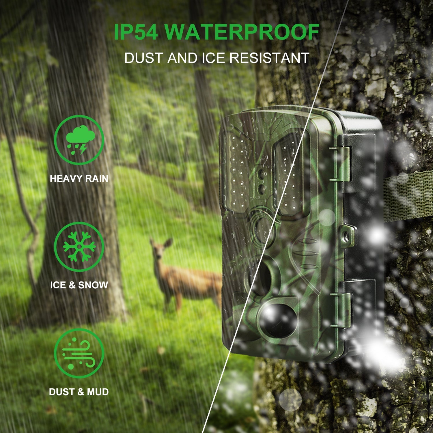Rexing H1 Blackhawk Night Vision Trail Camera — Full HD 1080p