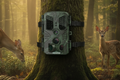 Rexing H1 Blackhawk Night Vision Trail Camera Full HD 1080p